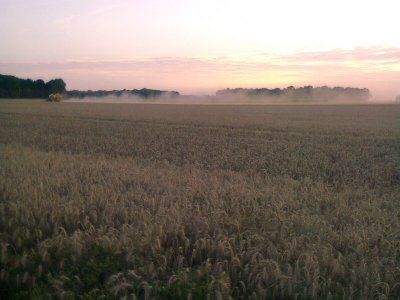 La moisson