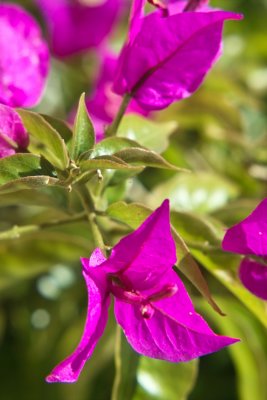 IMG09767.jpg