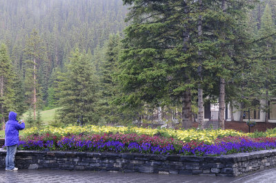 Jardin Du Lac Louise IN 1