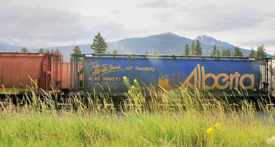 Train en marche à Jasper 5