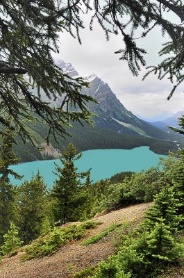 Peyto Lake 7