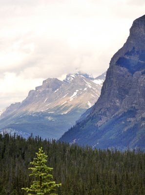 Glaciers vu de la route vers Jasper 3
