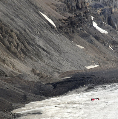 Icefield Tour