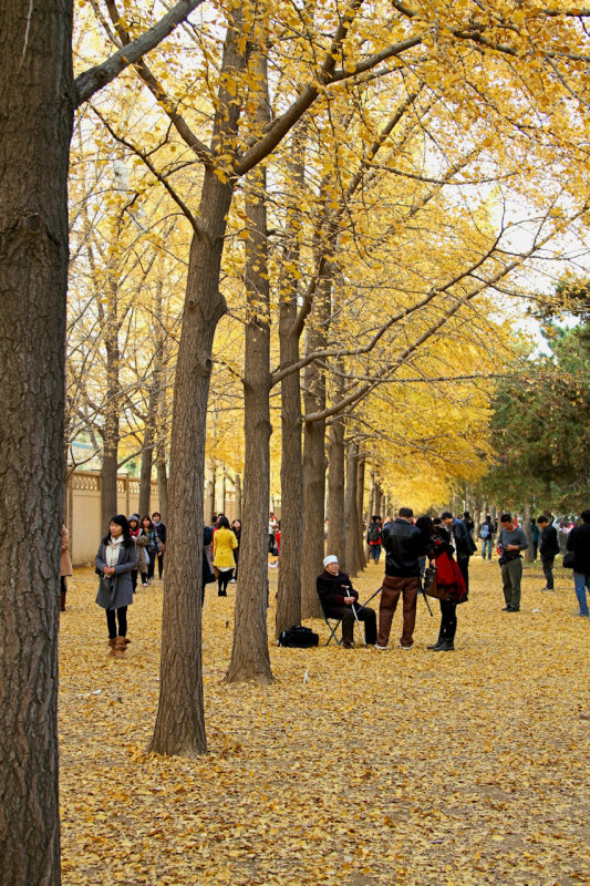 National Hotel Grounds Beijing.jpg