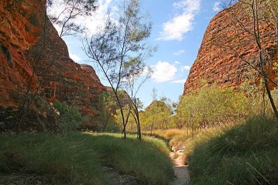 A Walk to Cathedral Gorge