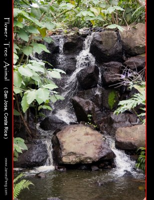 nEO_IMG__DSC1909-1.jpg