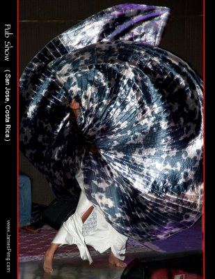 nEO_IMG__DSC2198-1.jpg
