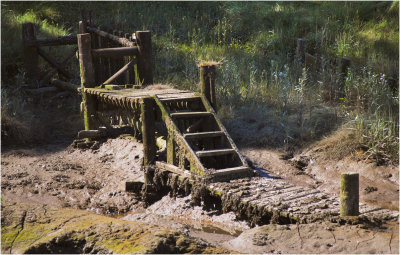 Forgotten Jetty