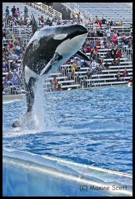 Jump