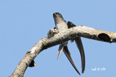 IMG_6200.jpg