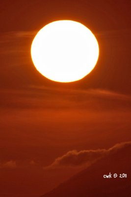 IMG_6968.jpg