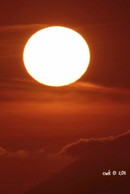 IMG_6972.jpg
