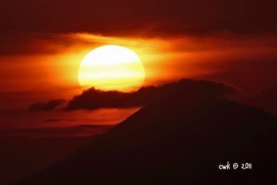 IMG_6991.jpg