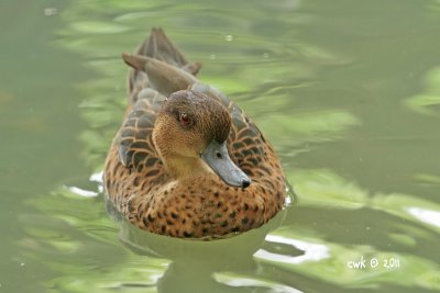 IMG_7435.jpg