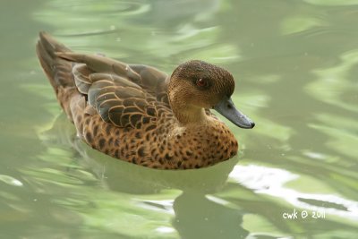 IMG_7438.jpg