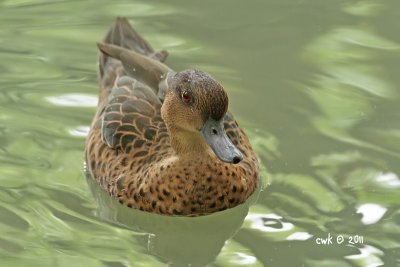 IMG_7445.jpg