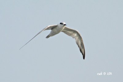 IMG_0975.jpg