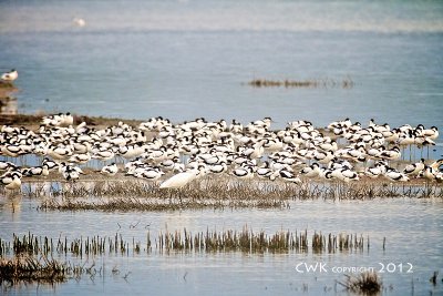 IMG_5112.jpg