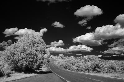 Road to Truchas, NM