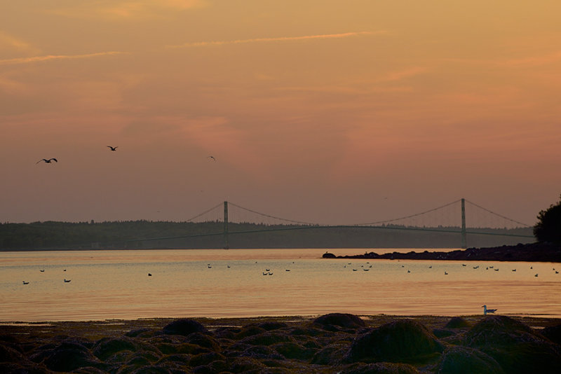 20120526 - Stump Cove Beach - 207.jpg