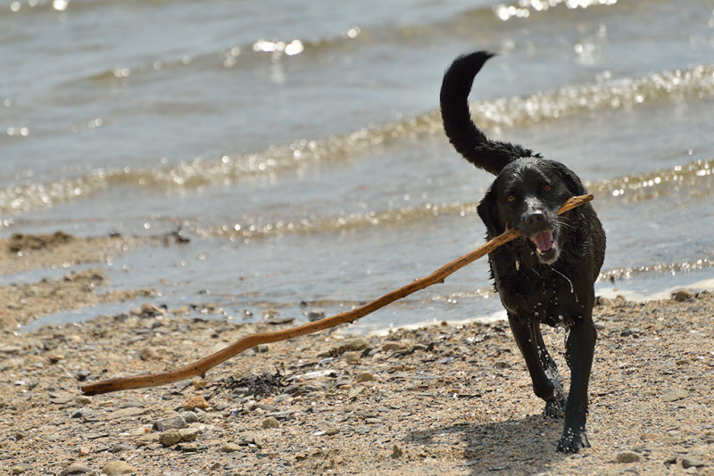 20120527 - Stump Cove Beach - 017.jpg