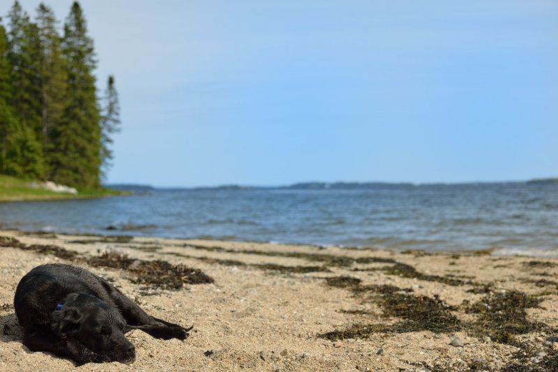 20120527 - Stump Cove Beach - 068.jpg