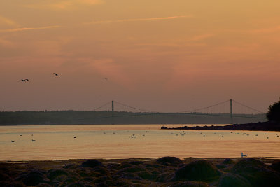 20120526 - Stump Cove Beach - 207.jpg
