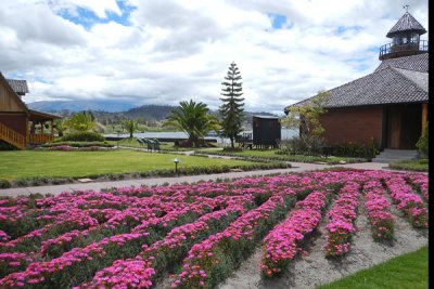 20120816 - Ecuador [K's Photos] - 0007.JPG