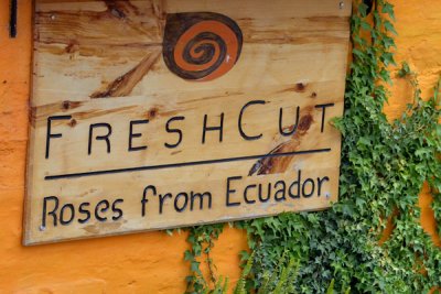 ABD Ecuador and Galapagos [Web Files] - 069.JPG