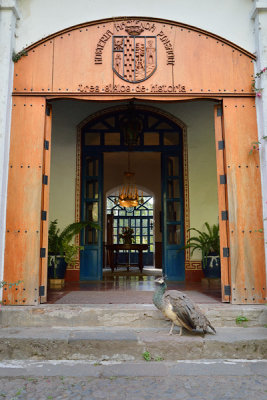 ABD Ecuador and Galapagos [Web Files] - 157.JPG