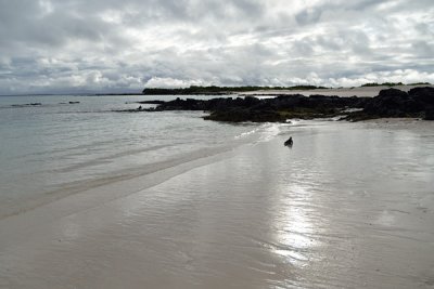 ABD Ecuador and Galapagos [Web Files] - 193.JPG