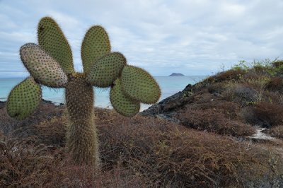 ABD Ecuador and Galapagos [Web Files] - 194.JPG