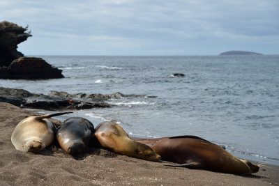 ABD Ecuador and Galapagos [Web Files] - 226.JPG
