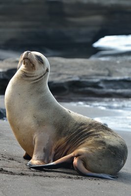 ABD Ecuador and Galapagos [Web Files] - 228.JPG