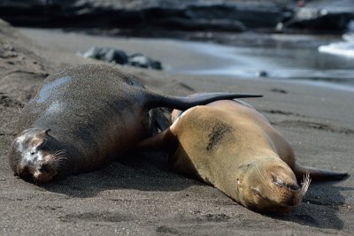 ABD Ecuador and Galapagos [Web Files] - 229.JPG