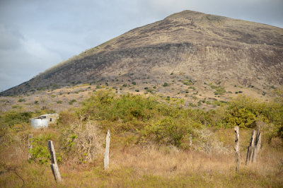 ABD Ecuador and Galapagos [Web Files] - 234.JPG