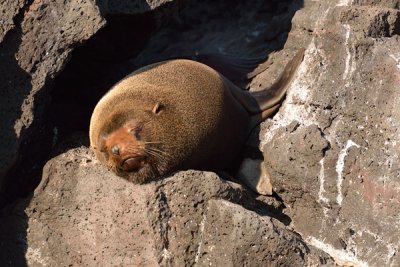 ABD Ecuador and Galapagos [Web Files] - 244.JPG