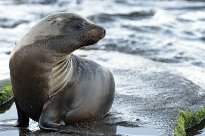 ABD Ecuador and Galapagos [Web Files] - 247.JPG