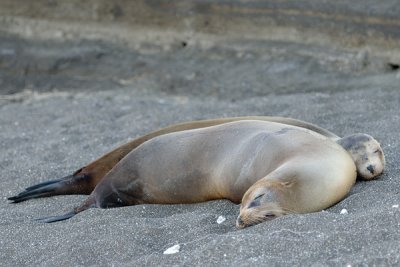 ABD Ecuador and Galapagos [Web Files] - 248.JPG