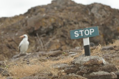 ABD Ecuador and Galapagos [Web Files] - 278.JPG