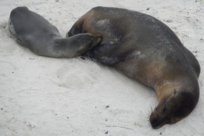 ABD Ecuador and Galapagos [Web Files] - 287.JPG