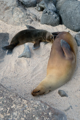ABD Ecuador and Galapagos [Web Files] - 301.JPG
