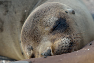 ABD Ecuador and Galapagos [Web Files] - 302.JPG