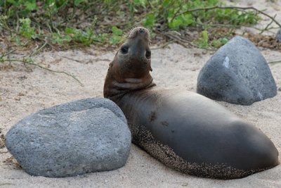 ABD Ecuador and Galapagos [Web Files] - 304.JPG