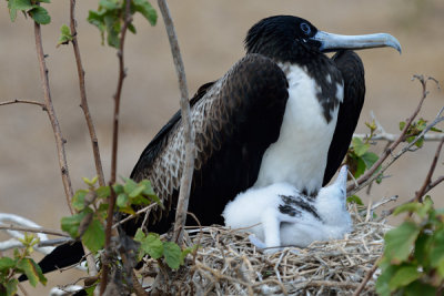 ABD Ecuador and Galapagos [Web Files] - 317.JPG