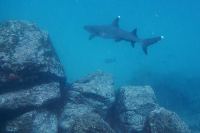 ABD Ecuador and Galapagos [Web Files] - 329.JPG