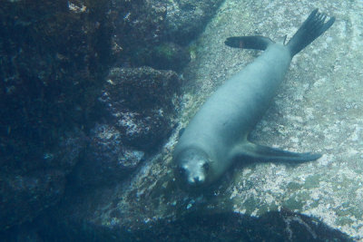 ABD Ecuador and Galapagos [Web Files] - 332.JPG