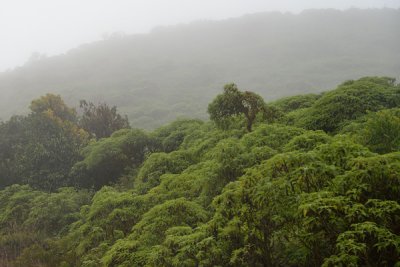 ABD Ecuador and Galapagos [Web Files] - 346.JPG