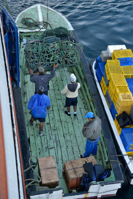 ABD Ecuador and Galapagos [Web Files] - 354.JPG