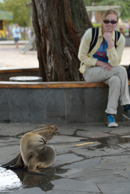 ABD Ecuador and Galapagos [Web Files] - 364.JPG